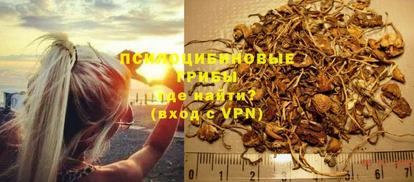 метадон Ельня