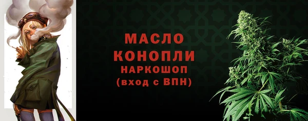 метадон Ельня