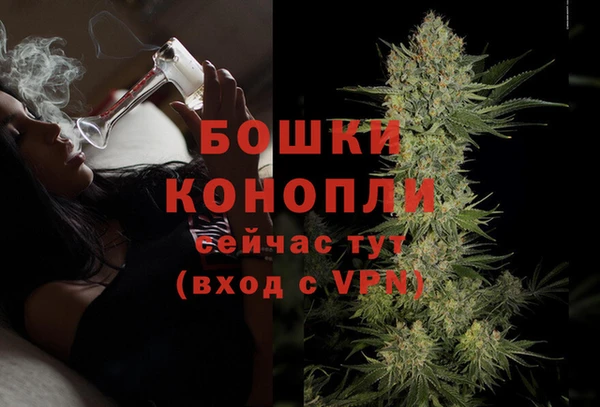 метадон Ельня