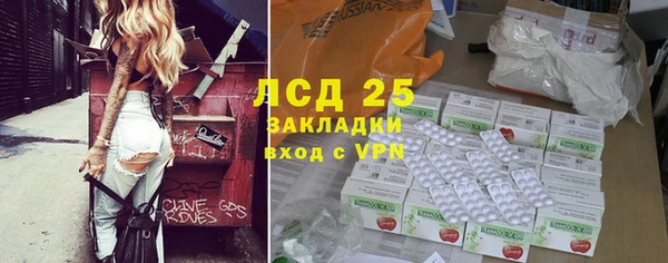ГАЛЛЮЦИНОГЕННЫЕ ГРИБЫ Елизово