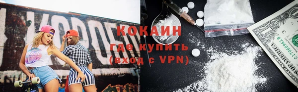 метадон Ельня